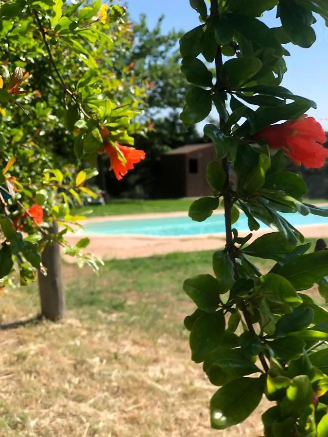 Mas Lito Villa Caldes de Malavella Holiday home