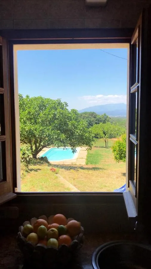 Holiday home Mas Lito Villa Caldes de Malavella Spain